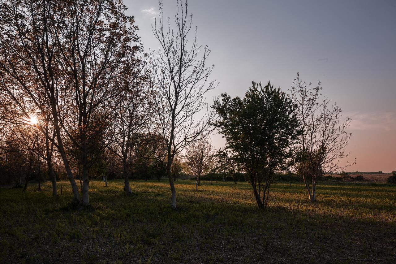 Cascina La Goliarda Hostal Curtatone